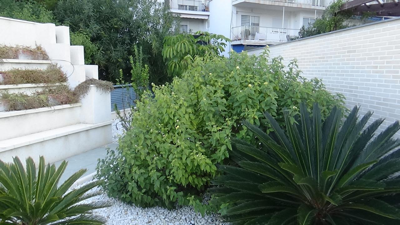 Aпартаменты В San Juan Playa Alicante Zewnętrze zdjęcie